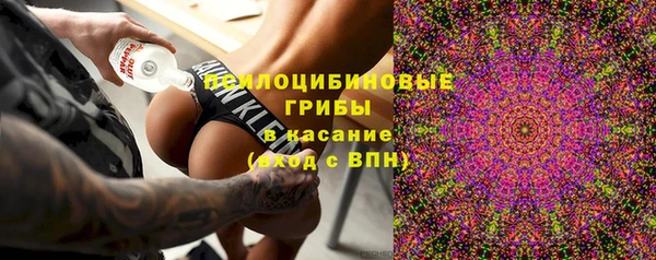 индика Арсеньев