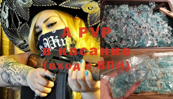 индика Арсеньев