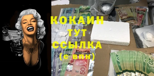 индика Арсеньев