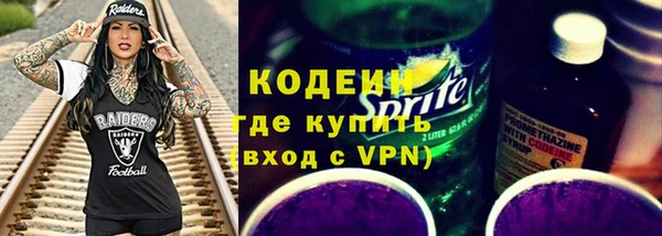 индика Арсеньев