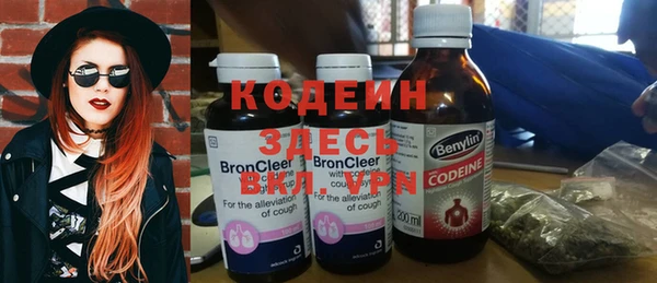 индика Арсеньев