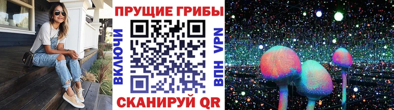 Псилоцибиновые грибы Magic Shrooms  блэк спрут   Барыш 