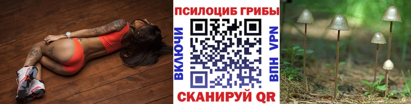 Галлюциногенные грибы прущие грибы Барыш